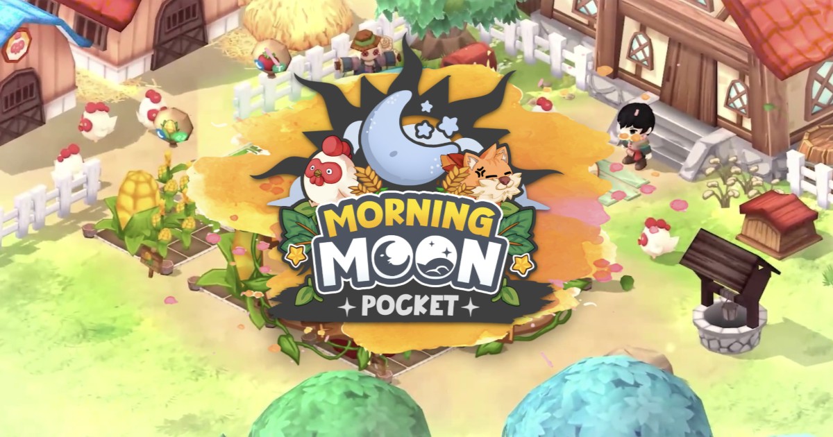 Morning Moon Pocket